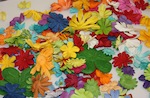 Blumen/Flowers