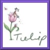 Tulip