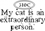 My extraordinary cat