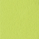 Bazzill Orange Peel CS " Green tea "