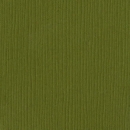 Bazzill Grasscloth CS " Palo Verdel "