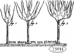 Grow where you are plant