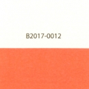 Duo Tone Cardstock " COL.0012" 12" x 12"