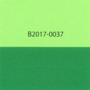 Duo Tone Cardstock " COL.0037" 12" x 12"