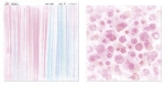 Doublesided Paper " Whitewash Pink "