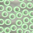 50 runde Eyelets Pistazie