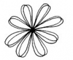 Blume