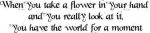 When you take a Flower .....