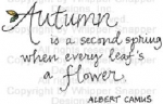 Autumn