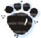 Tiny Paw Print