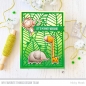 Preview: MFT Summer Safari