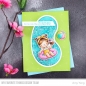 Preview: MFT Replenishments - Swimming Pool Shaker Pouches