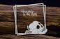 Preview: SnipArt Chipboards Beauty in the Dark – Square Layered Skull Frame