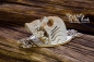 Preview: SnipArt Chipboards Beauty in the Dark – 3D Skull
