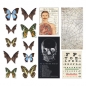Preview: Tim Holtz - Transparencies Halloween