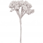 Preview: Tim Holtz idea-ology - Bouquet