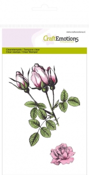 https://www.stamping-fairies.de/montierte-stempel/craft-emotions/craft-emotions-clear-stamps-botanical-roses-bud.html