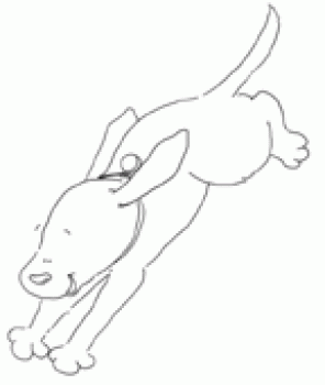 Fetch