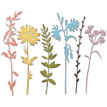 Sizzix Tim Holtz Thinlits - Vault Wildflowers