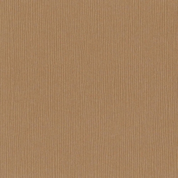Bazzill Grasscloth CS " Iced Coccoa "