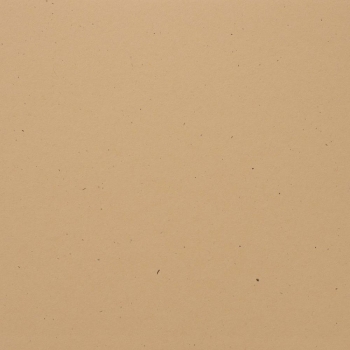 Bazzill Speckle Cardstock 12 x 12 Sand Dollar