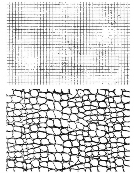 Tim Holtz Stempelset - Graph & Croc