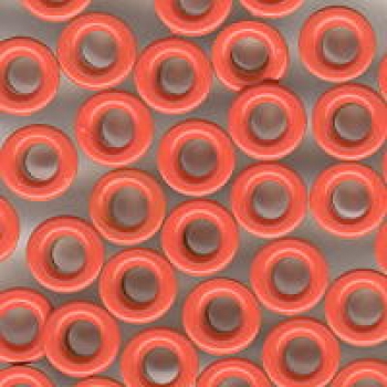50 runde Eyelets Orange