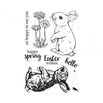 Hero Arts Clearstamps - Color Layering Bunny