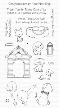 MFT Pawsitive Vibes