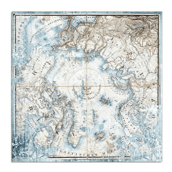 Stamperia - Arctic Antarctic - Artic 12" x 12"