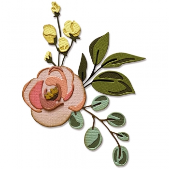 Sizzix Tim Holtz Thinlits - Bloom Colorize
