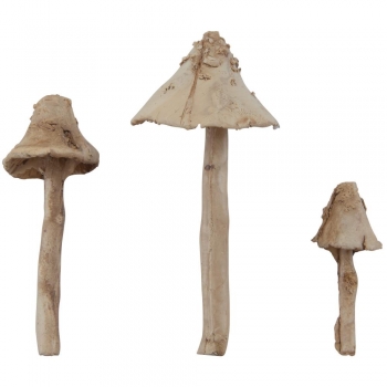 Tim Holtz idea-ology - Toadstools (Champignons)