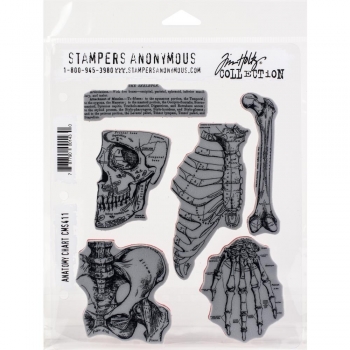 Tim Holtz Stempelset - Anatomy Chart