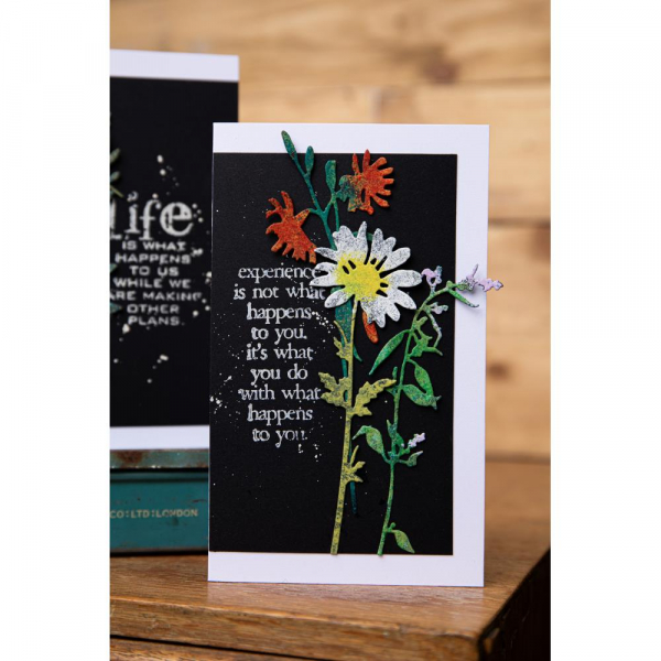 Sizzix Tim Holtz Thinlits - Vault Wildflowers