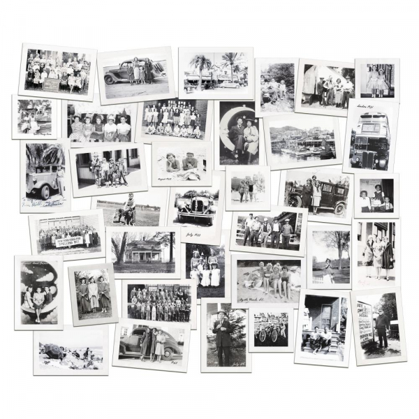 Tim Holtz - Snapshots - Volume #2