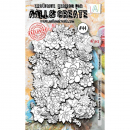 AALL & CREATE Ephemera - Monosucculents #44