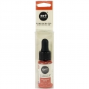 Art Philosophy Watercolor Concentrate - Orange Red