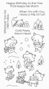 MFT Winter Kittens