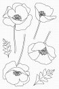 MFT Pure Poppies